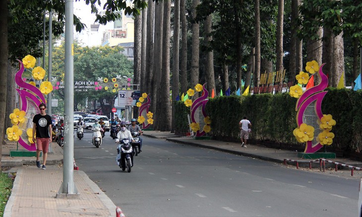 Mai cổ Vĩnh Long cao hơn 6m tại Hội hoa xuân 2019 - Ảnh 2.