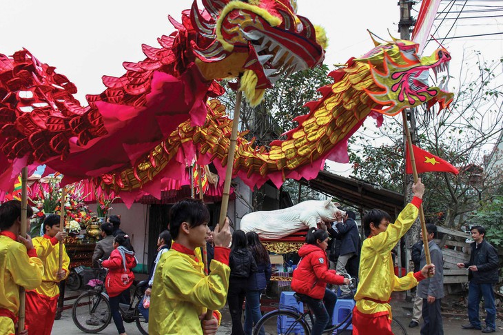 Năm Hợi, xem làng La Phù nuôi ông lợn lễ - Ảnh 1.