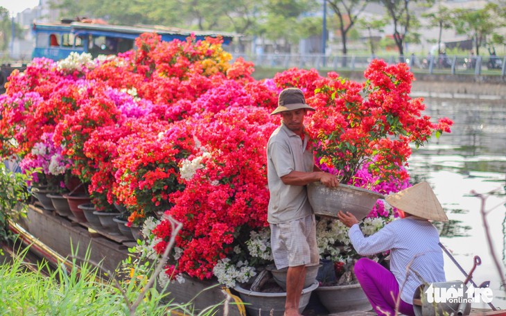 TP.HCM những ngày trên bến - dưới thuyền - công viên ngập hoa, kiểng