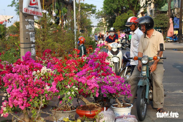 Hoa tết đổ về TP.HCM, nhà vườn mong người thành phố vui vẻ mua sớm - Ảnh 1.