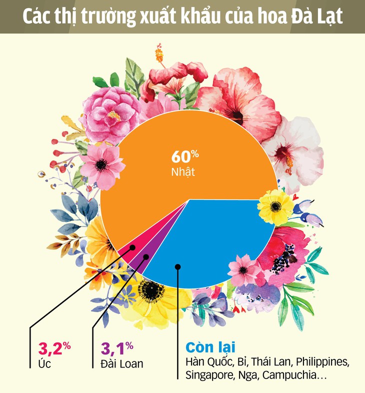 Con đường thành vựa hoa châu Á - Ảnh 4. Con đường thành vựa hoa châu Á - Ảnh 4.