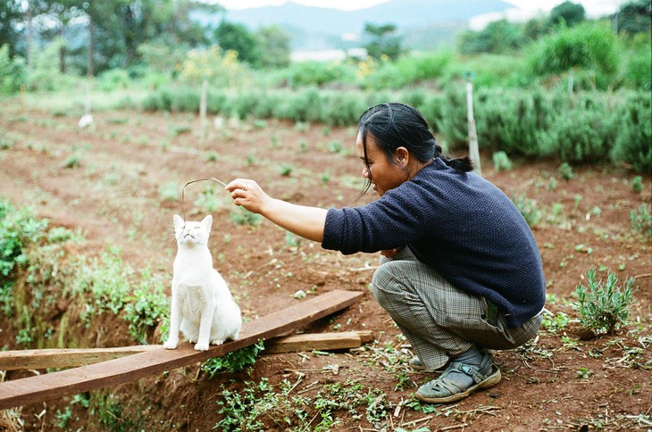 Vườn Tùng Hạ của Miên - Ảnh 5.