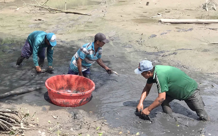 Mùa chụp đìa xứ bác Ba Phi - Ảnh 7.
