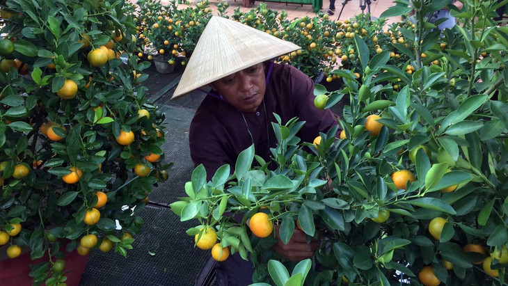 nghệ nhân hoa nghệ nhân hoa