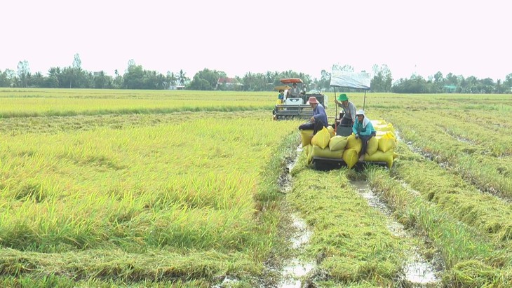 171 căn nhà ở Bạc Liêu bị sập và tốc mái do lốc xoáy - Ảnh 4.