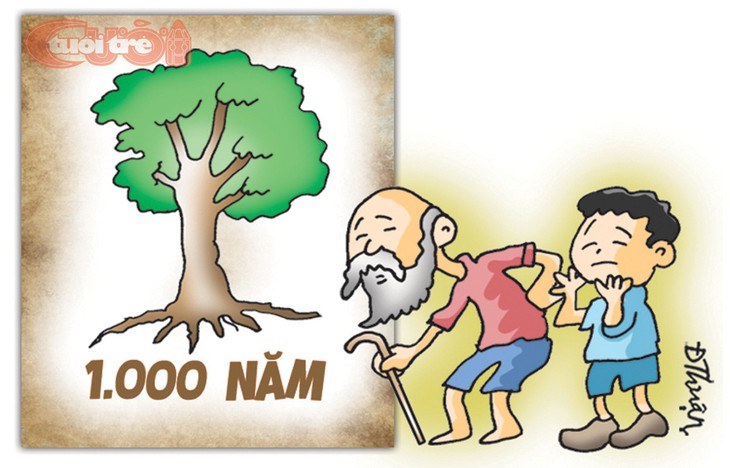 Vì lợi ích nghìn năm trồng cây - Ảnh 1. Vì lợi ích nghìn năm trồng cây - Ảnh 1.
