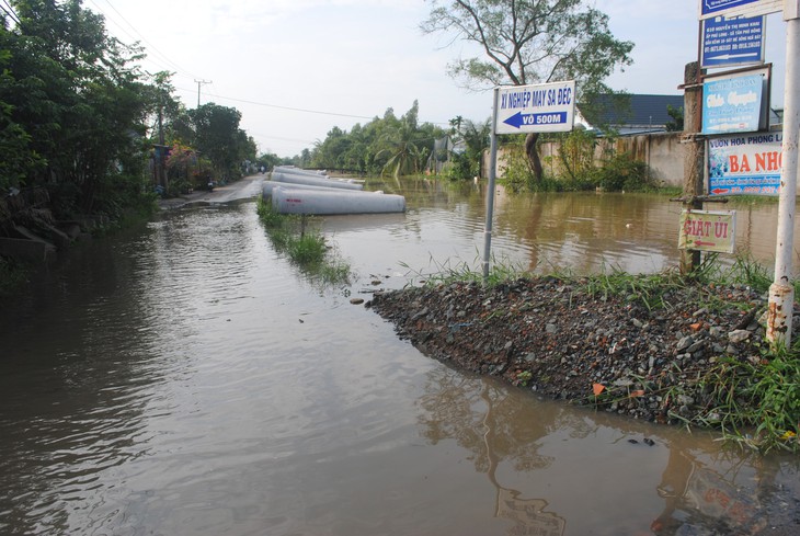 Miền Tây tiếp tục bể bờ bao, học sinh nghỉ học vì triều cường - Ảnh 7.