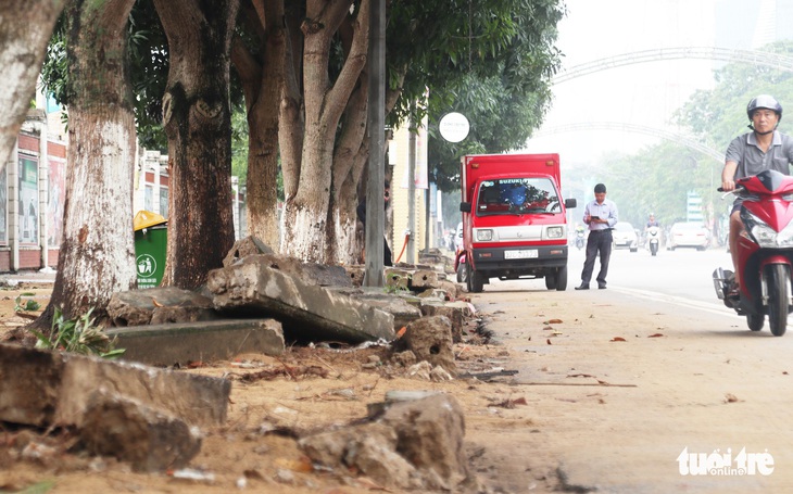 TP Vinh thay hơn 300 cây xanh làm phố đi bộ, dân tiếc nuối - Ảnh 5.