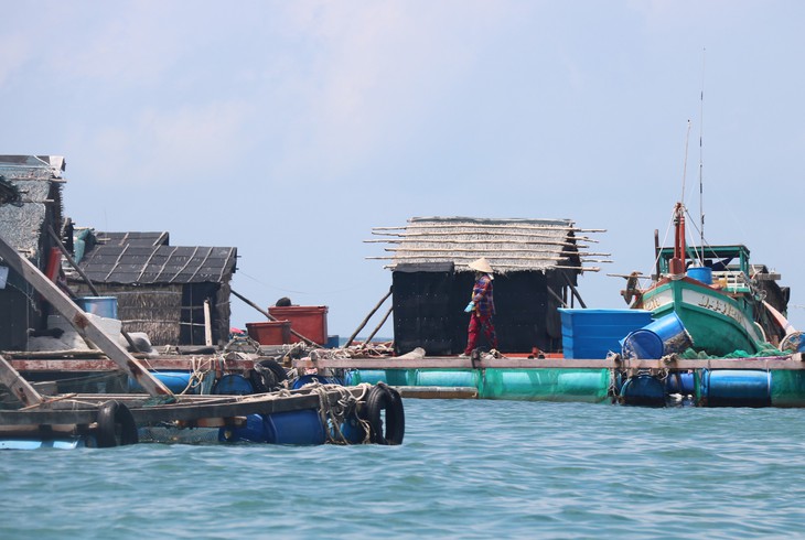 Cá chết hàng loạt nghi do ô nhiễm, dân thiệt hại tiền tỉ - Ảnh 1.