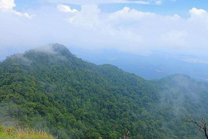 LANGBIANG TRAIL - Giải chạy giữa rừng thông sương núi - Ảnh 3.