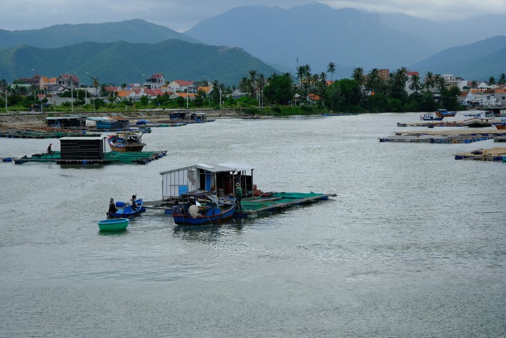 Người nuôi thủy sản trên vịnh Vân Phong hối hả bán cá chạy bão số 5 - Ảnh 7.