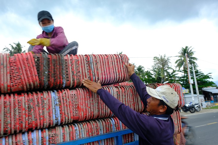 Người nuôi thủy sản trên vịnh Vân Phong hối hả bán cá chạy bão số 5 - Ảnh 5.