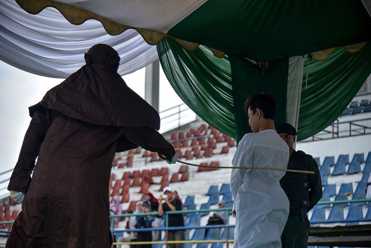 Indonesia: Phạt đánh 100 roi các đối tượng săn bắt động vật hoang dã - Ảnh 1.