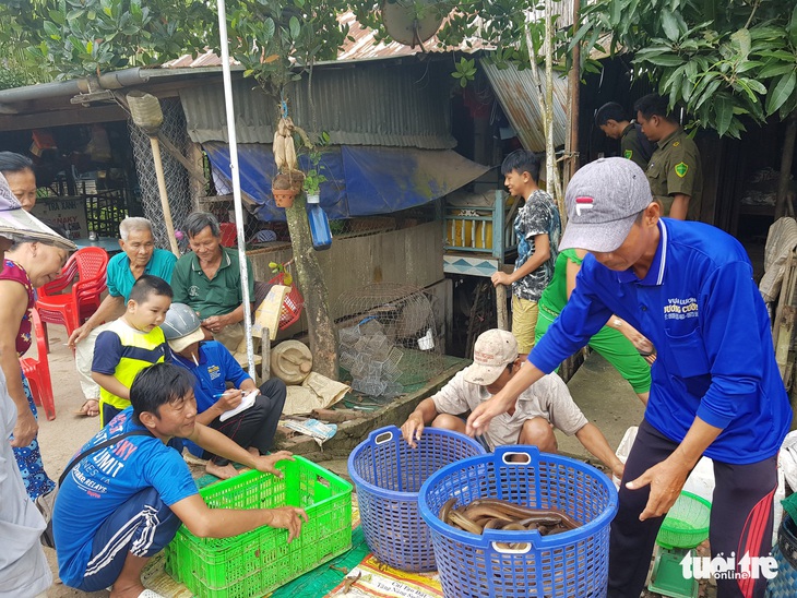 Bờ kênh xáng Tân An tiếp tục bị nuốt, dân hối hả chạy sạt lở - Ảnh 3.