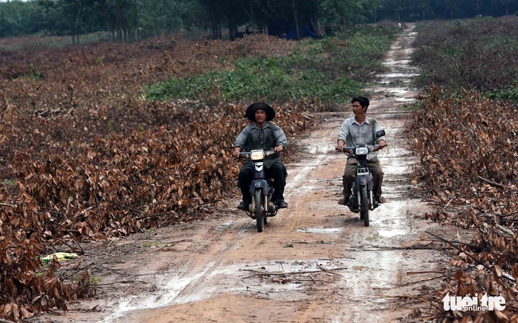 Bộ trưởng Nguyễn Văn Thể: ‘Hiệu quả kinh tế của dự án sân bay Long Thành rất cao’ - Ảnh 2.