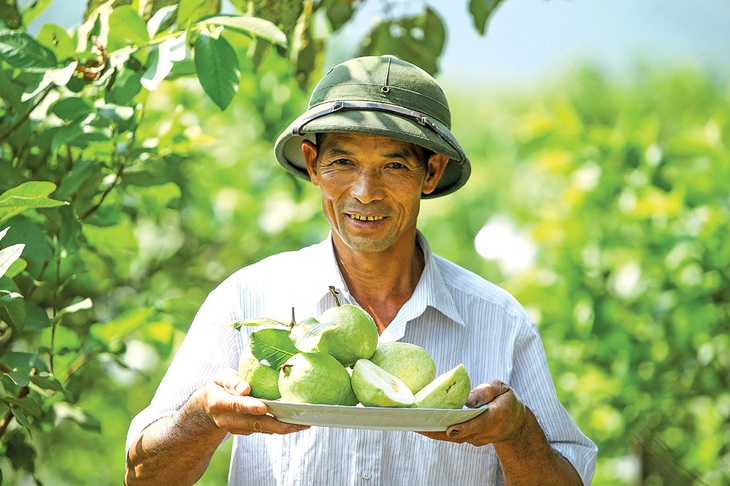 Kỳ vọng đổi thay trước giờ sáp nhập - Ảnh 5. Kỳ vọng đổi thay trước giờ sáp nhập - Ảnh 5.
