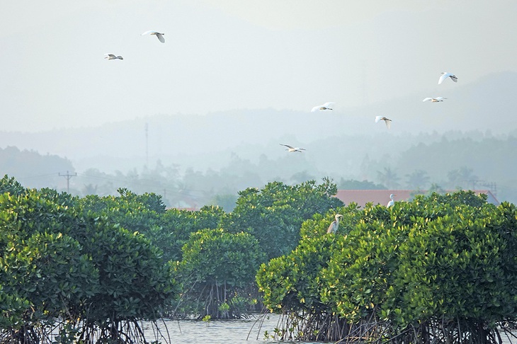Kỳ vọng đổi thay trước giờ sáp nhập - Ảnh 1. Kỳ vọng đổi thay trước giờ sáp nhập - Ảnh 1.