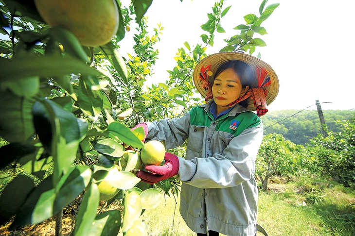 Kỳ vọng đổi thay trước giờ sáp nhập - Ảnh 4. Kỳ vọng đổi thay trước giờ sáp nhập - Ảnh 4.