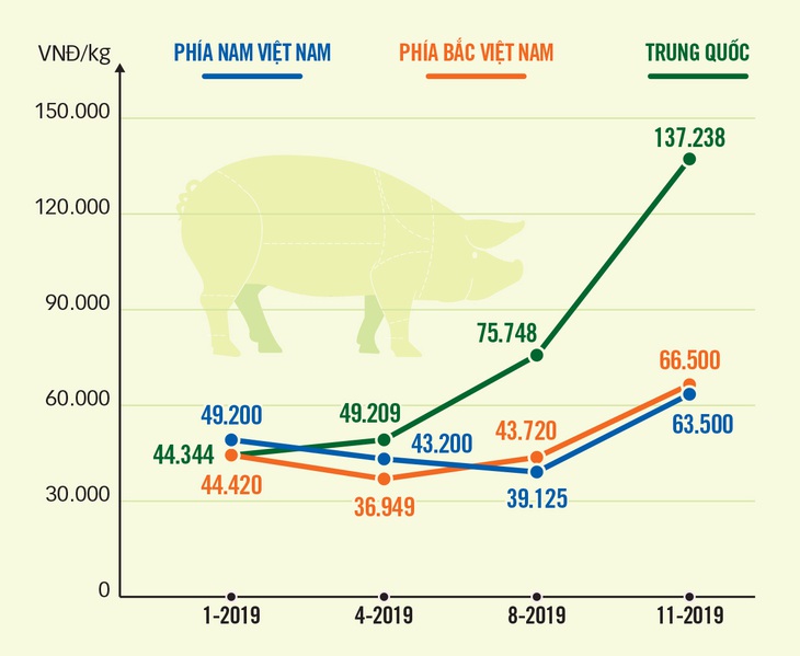 Giá thịt heo làm đau đầu bà nội trợ - Ảnh 2.