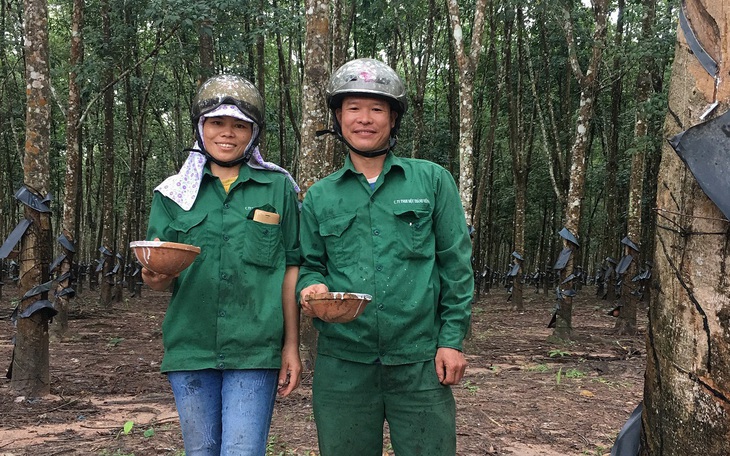 Anh Nguyễn Văn Nam giành giải Bàn tay vàng cạo mủ cao su Binh đoàn 15 - Ảnh 5.