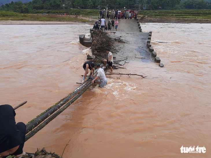 Cầu sập, dân liều mình lấy cây cau ghép lại để vượt sông - Ảnh 3.