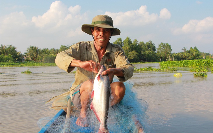 Săn cá vồ đém