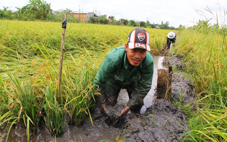 5 phương thức cho tích tụ đất đai