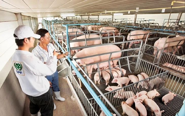 Nông nghiệp châu Á cầu cứu công nghệ - Ảnh 1. Nông nghiệp châu Á cầu cứu công nghệ - Ảnh 1.