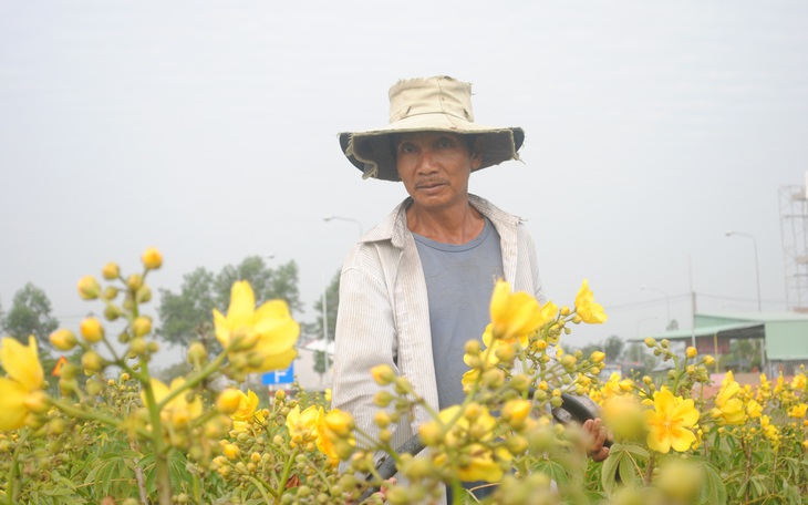 Thí điểm thu phí khách tham quan làng hoa Sa Đéc