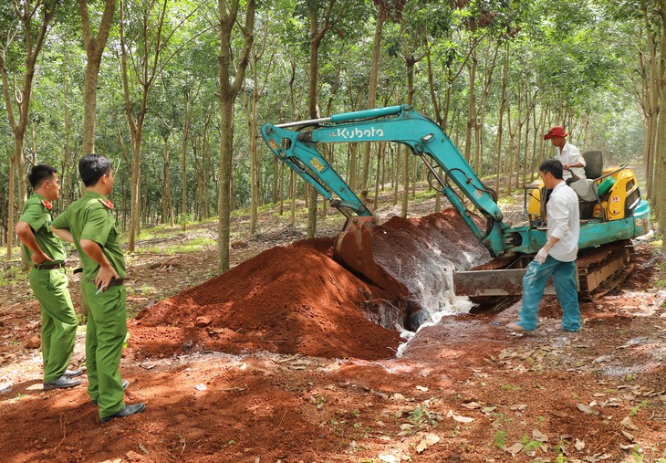 Tiêu hủy hơn 1,6 tấn thịt nhiễm dịch tả heo châu Phi ở Bình Phước - Ảnh 1.