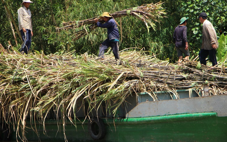 Thủ tướng: 