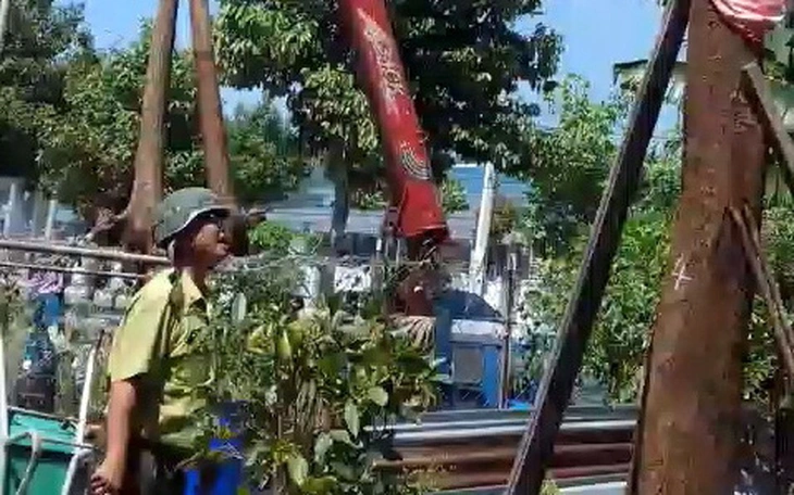 Hạt Kiểm lâm Côn Đảo lý giải việc xử phạt hành chính, tịch thu 42 gốc mai vàng - Ảnh 3.