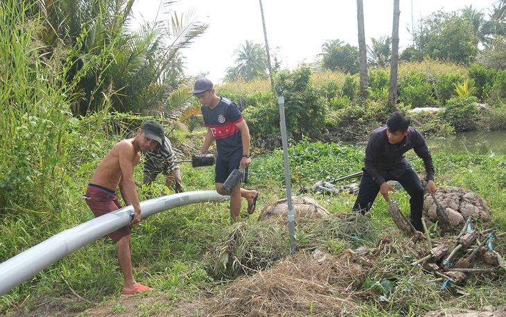 Làng hoa tết lao đao vì... mặn - Ảnh 2.