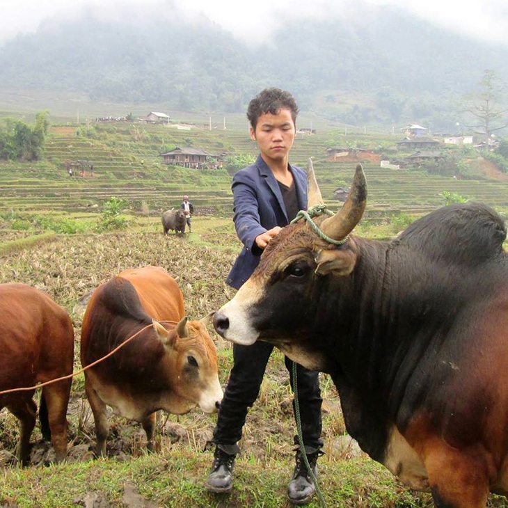 Những chàng cao bồi  trên đỉnh núi - Ảnh 2.