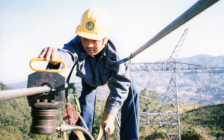 Ruồi đục trái là con gì mà khiến nhà vườn miền Tây đau đầu - Ảnh 4.