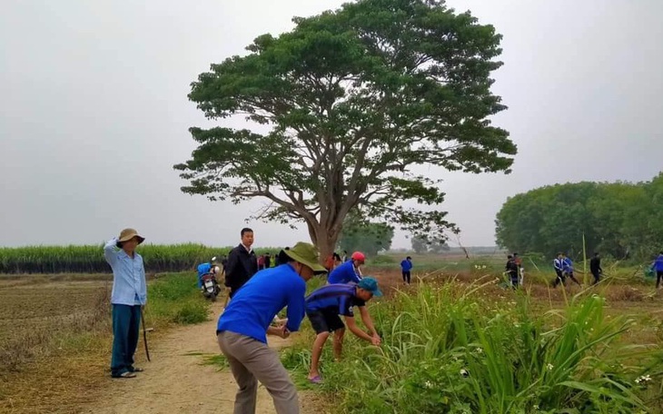 Bạn trẻ bị chỉ trích vì… dọn sạch cỏ dại quanh cây cô đơn trong 