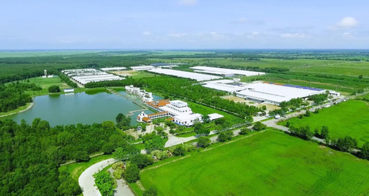 Tết tại resort bò sữa Vinamilk có gì đặc biệt? - Ảnh 3. Tết tại resort bò sữa Vinamilk có gì đặc biệt? - Ảnh 3.