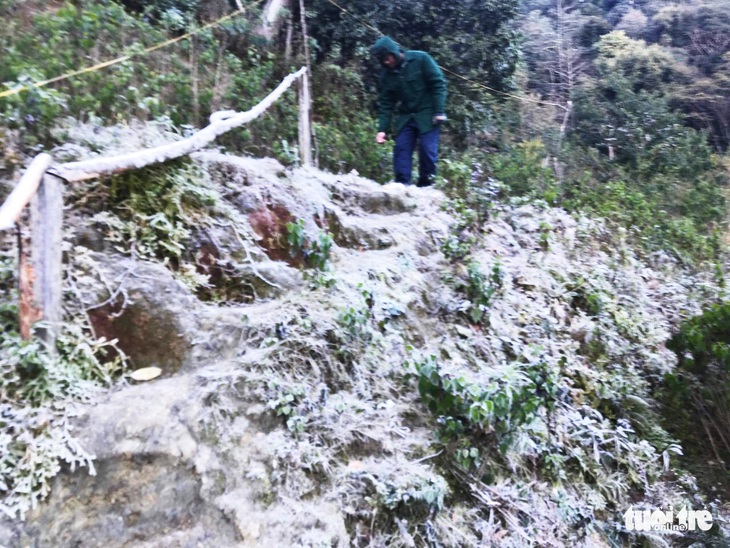 Nhiều vùng núi cao Nghệ An 0 độ C, băng giá phủ cây cối - Ảnh 3. Nhiều vùng núi cao Nghệ An 0 độ C, băng giá phủ cây cối - Ảnh 3.