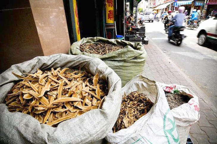 Coi chừng rác thuốc đội lốt dược liệu chuẩn - Ảnh 1. Coi chừng rác thuốc đội lốt dược liệu chuẩn - Ảnh 1.