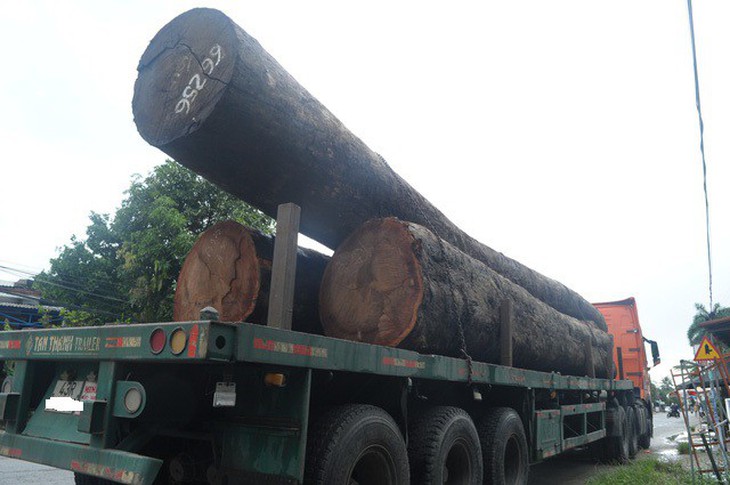 Bị gỗ khủng từ xe tải rơi xuống đè trúng, một tài xế tử vong - Ảnh 1. Bị gỗ khủng từ xe tải rơi xuống đè trúng, một tài xế tử vong - Ảnh 1.