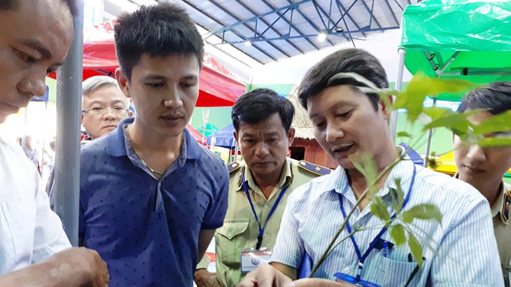Ông cán bộ sâm - Ảnh 1. Ông cán bộ sâm - Ảnh 1.