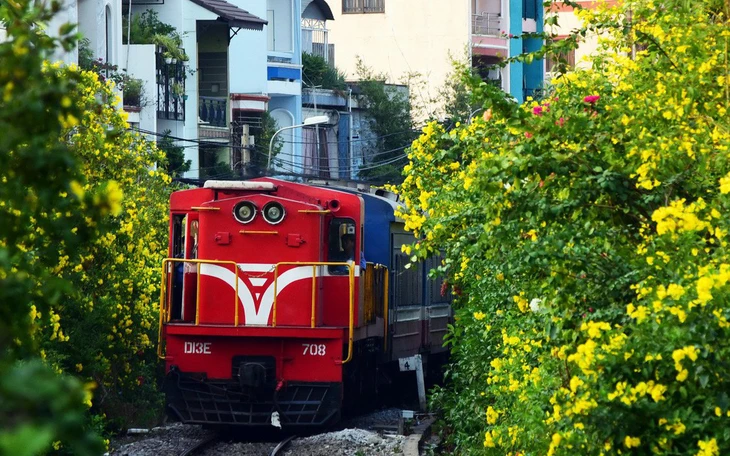 Di dời hơn 4.600 cây huỳnh liên, cải tạo trục đường cửa ngõ Vũng Tàu từ 6 lên 8 làn xe - Ảnh 4.