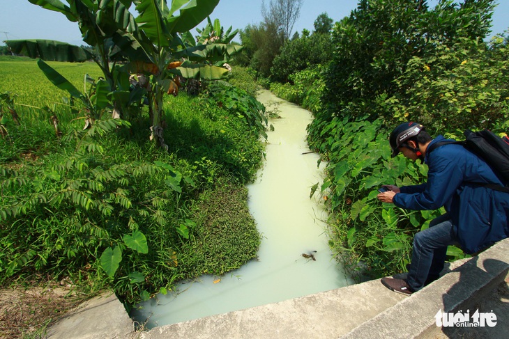 Kênh đổi màu trắng như sữa, nghi nước xả thải từ khu công nghiệp - Ảnh 1.