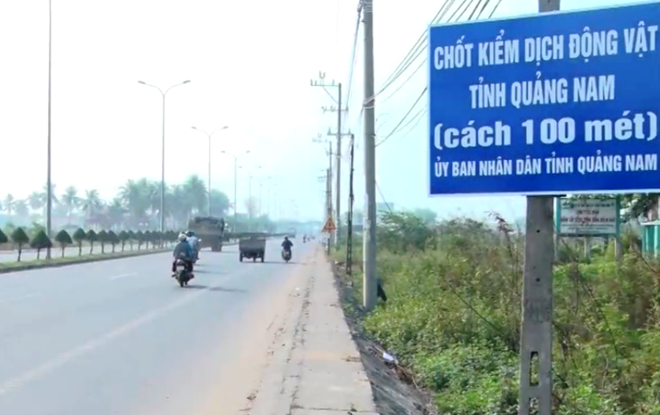 Xe chở heo trên cao tốc Đà Nẵng - Quảng Ngãi phải đi sang quốc lộ 1 - Ảnh 2. Xe chở heo trên cao tốc Đà Nẵng - Quảng Ngãi phải đi sang quốc lộ 1 - Ảnh 2.