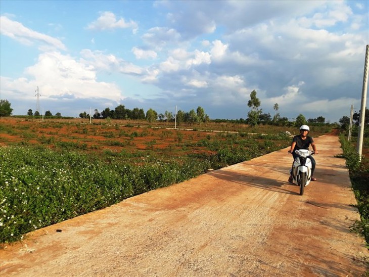 Khiển trách chủ tịch, cảnh cáo phó chủ tịch TP Pleiku - Ảnh 1.