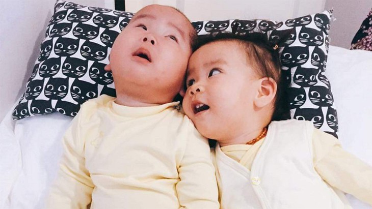 Người tìm cơ hội sống cho thiên thần - Ảnh 1.