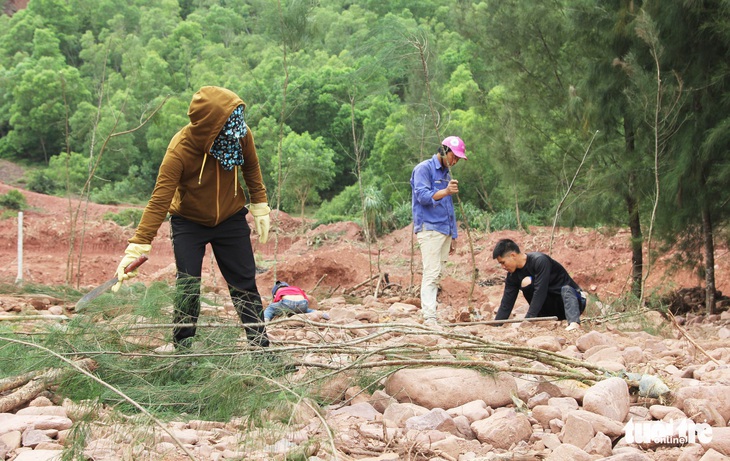 Vụ làm đầm tôm phá rừng phòng hộ: dỡ nhà xây trái phép - Ảnh 6.