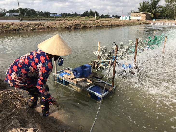 Hoa Kỳ công bố thuế chống bán phá giá tôm Việt Nam còn 0% - Ảnh 1.