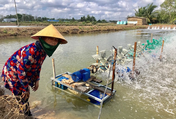 Ông Bảy Nhiệm và con lăn tiết kiệm điện - Ảnh 1. Ông Bảy Nhiệm và con lăn tiết kiệm điện - Ảnh 1.