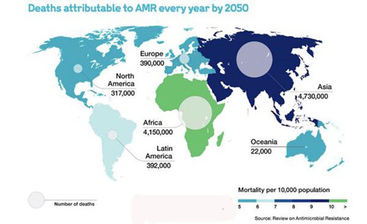 Việt Nam đã xuất hiện vi khuẩn đa kháng, toàn kháng - Ảnh 1.